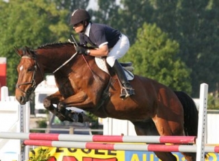 Pbaños a caballo en Fontenay le Comle 